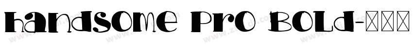 handsome Pro Bold字体转换